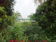 照片房屋15-台南小胡房地網-力仁房屋 左鎮1.7分農保用地