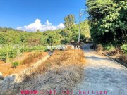 照片房屋3-進馨開發房地網-盡心不動產 楠西密枝最低價林地